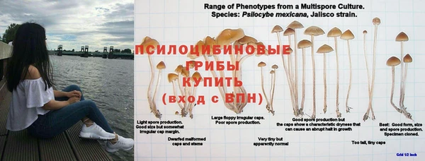 дмт Надым