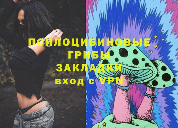 mdpv Михайлов
