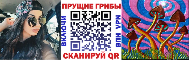 цены наркотик  Нижняя Тура  OMG как зайти  Псилоцибиновые грибы ЛСД 