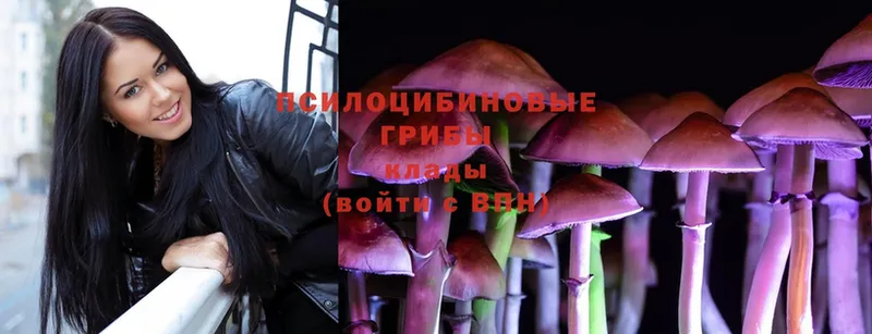 Галлюциногенные грибы Psilocybe  Нижняя Тура 